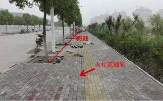 從識圖算量到施工工藝 深圳市政造價培訓路面工程深度解析